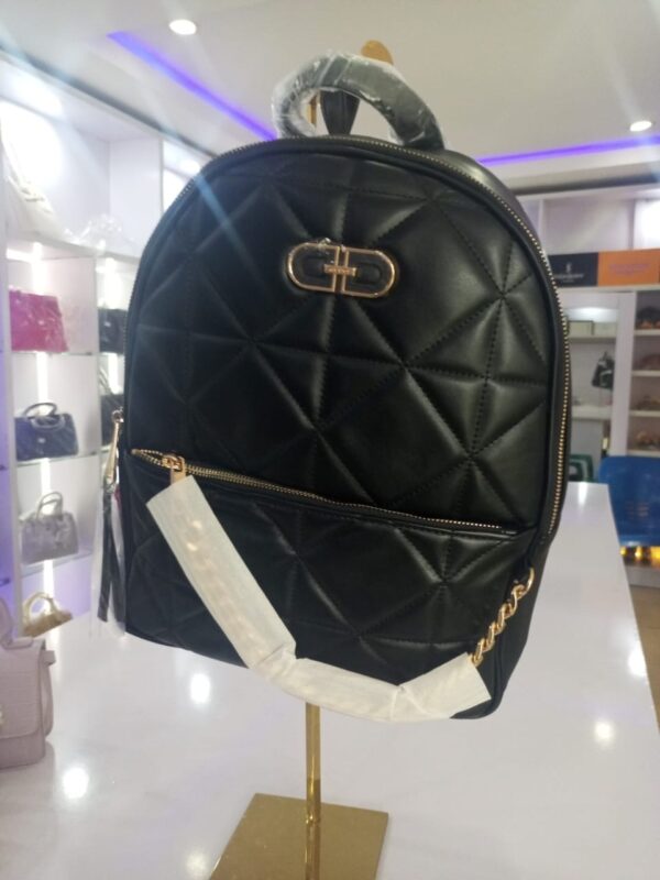 ALDO Big Size Backpack