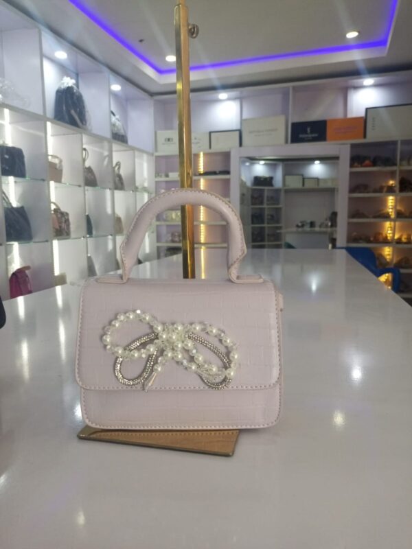 Aldo small lady bag