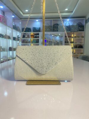 ALDO Pouche Bag