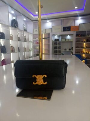 f74c2b98-7109-4404-bbe6-b5ce69eb4743 Celine small size bag