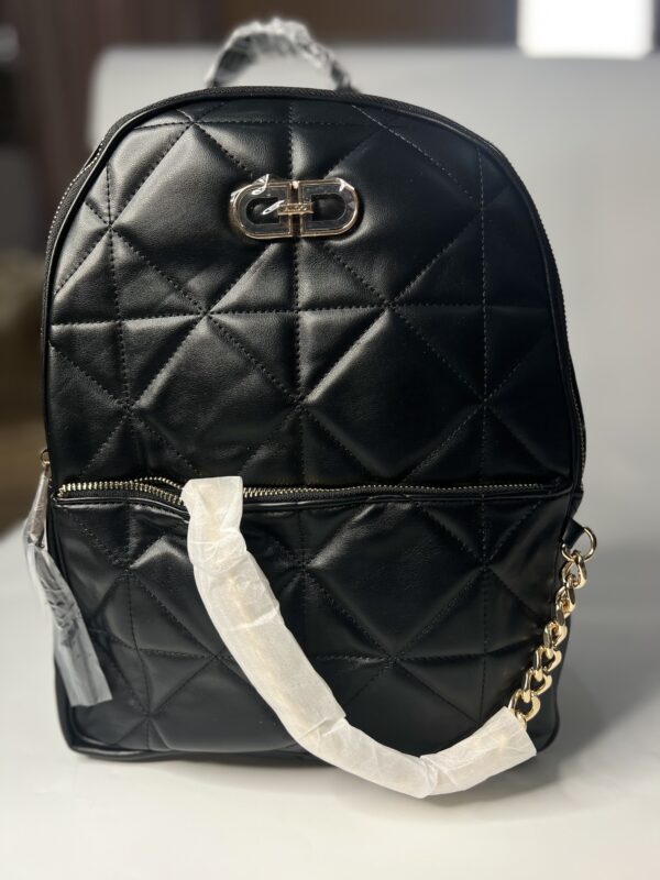 ALDO Big Size Backpack