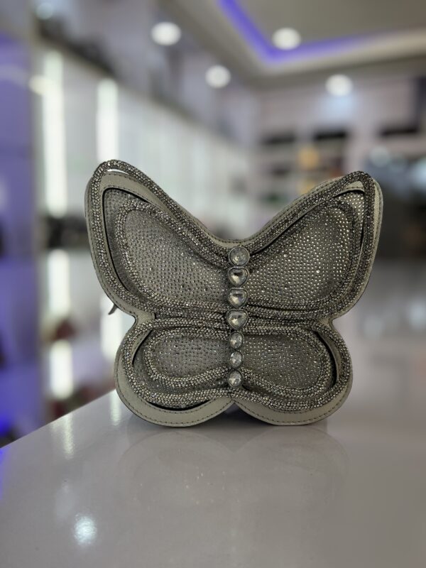 Aldo glitter small bag